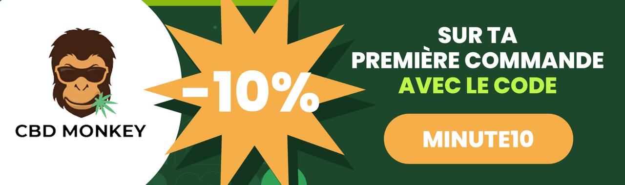 CBD Monkey